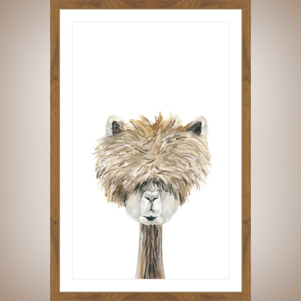 Marmount Hill Bushy Haired Llama Framed Print on Canvas Wall Mount Preowned